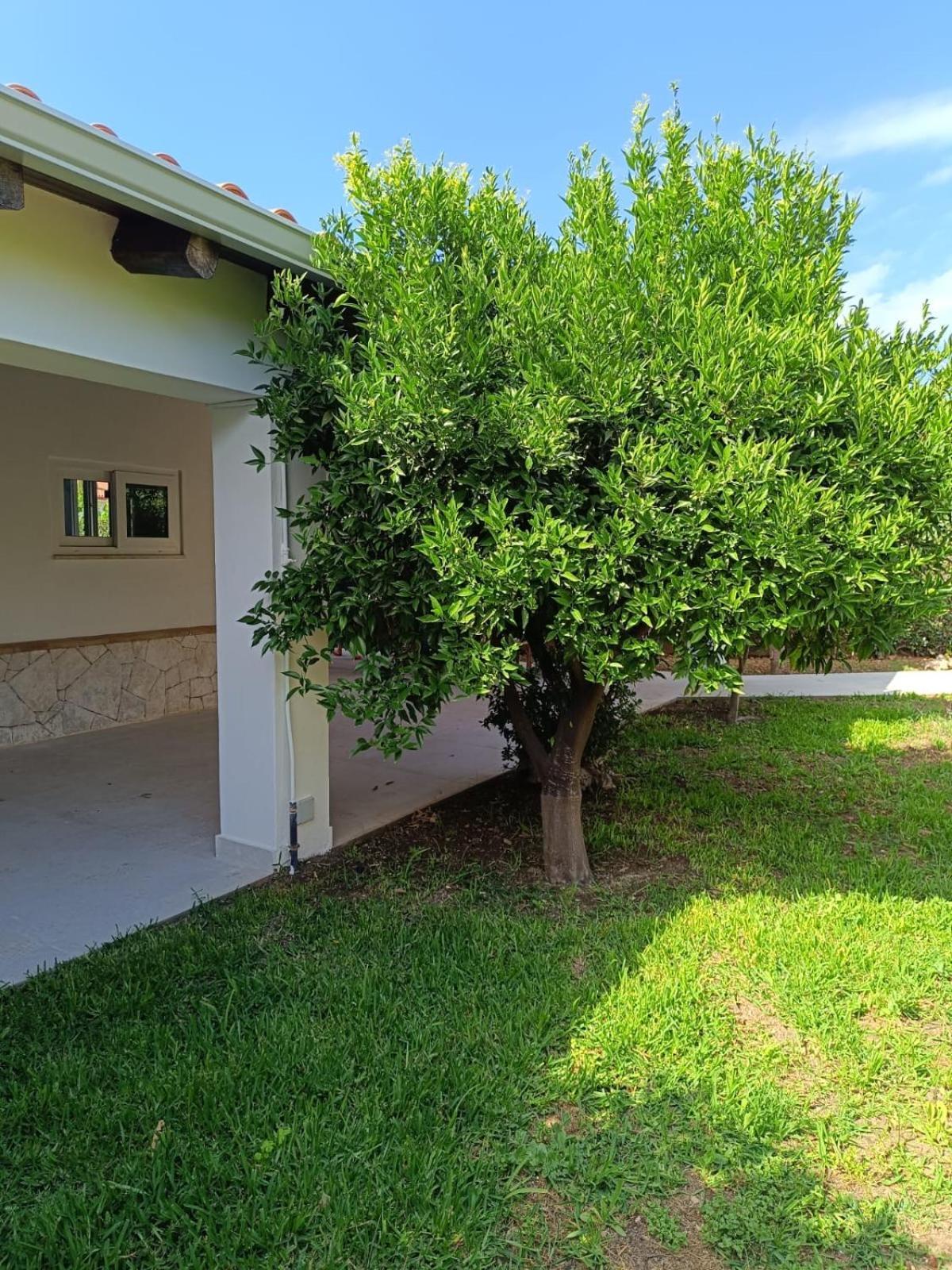 Giloma House Villa *